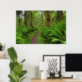 Poster sentier Maple Glade, fougères et mousse couvrent (Bureau à domicile)