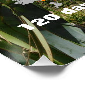 Poster Sentier Personnalisable Te Aroroa (Coin)