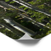 Poster Sentier pour Alberta Falls (Coin)