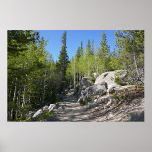 Poster Sentier pour Alberta Falls