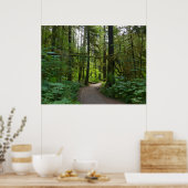 Poster Sentier pour Marymere Falls I (Cuisine)