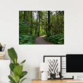 Poster Sentier pour Marymere Falls I (Bureau à domicile)