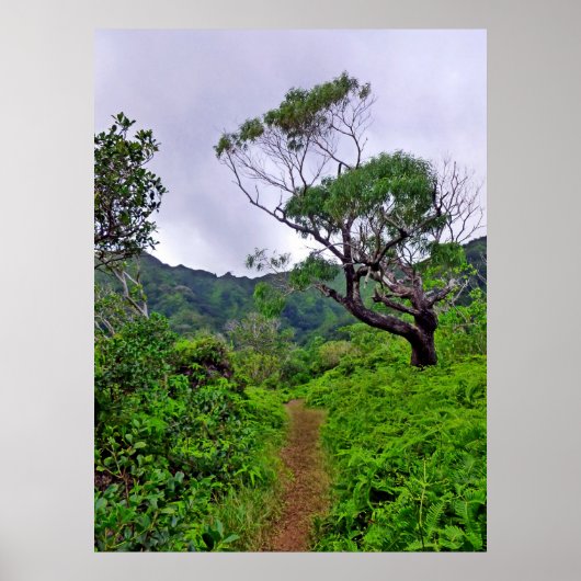 Poster Sentier Randonnée hawaïen (Devant)