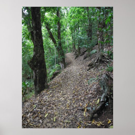 Poster Sentier Randonnée hawaïen (Devant)