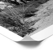 Poster Sentier rustique avec arbres (Coin)