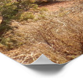 Poster Sentier vers Skyline Arch (Coin)