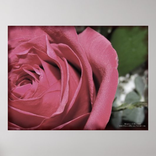 Poster Sentiments délicats (Devant)