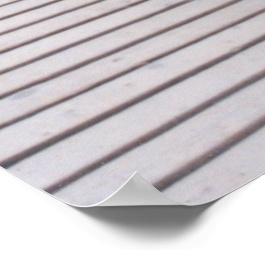 Poster Sentinal (Coin)