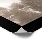 Poster Sentinal Hotel Yosemite Photo 1906 (Coin)