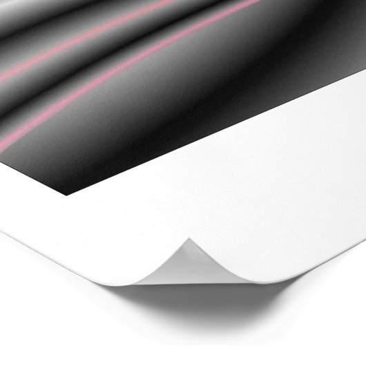 POSTER SENTINEL (Coin)