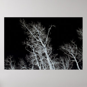 Poster Sentinel