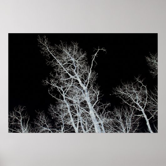 Poster Sentinel (Devant)