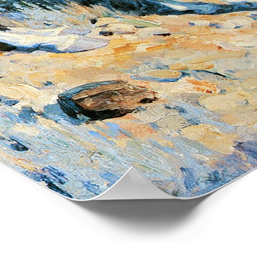 Poster Sentinelle des Plaines (Coin)