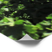 Poster Sentinelle sur le vignoble (Coin)