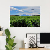 Poster Sentinelle sur le vignoble (Bureau à domicile)