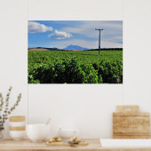 Poster Sentinelle sur le vignoble (Cuisine)
