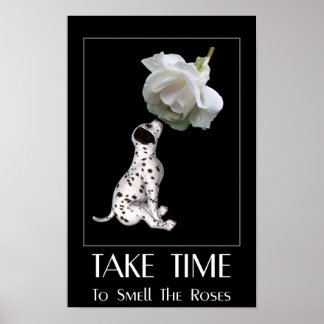 Poster Sentir les roses chiot dalmatien Inspirant