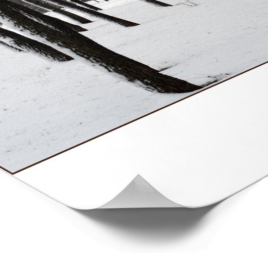 POSTER SENTRIES (Coin)