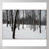 POSTER SENTRIES (Devant)