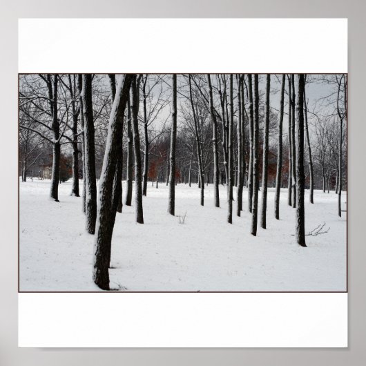 POSTER SENTRIES (Devant)