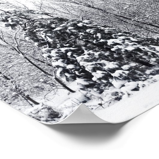 Poster séparation de l'incertitude (Coin)