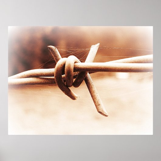 Poster Sepia Barbwire Fermer l'affiche photographique (Devant)