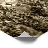 Poster Sepia Botany (Coin)