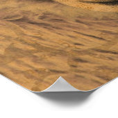 Poster Sepia Ewe (Coin)