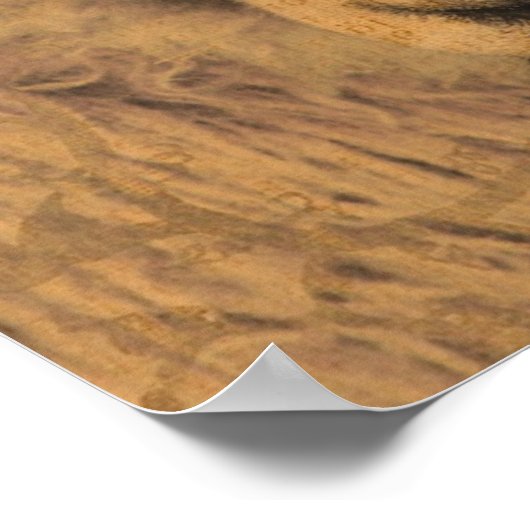 Poster Sepia Ewe (Coin)