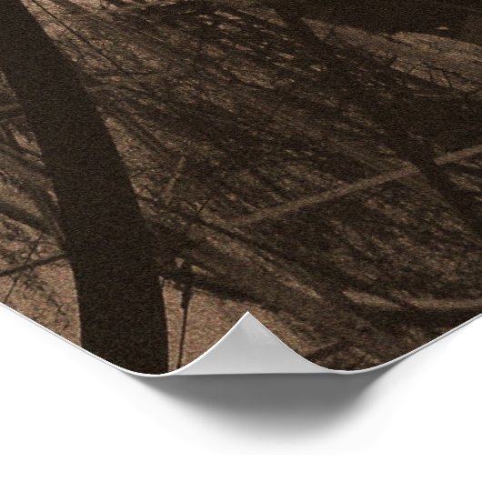 Poster Sepia Ferris Wheel (Coin)