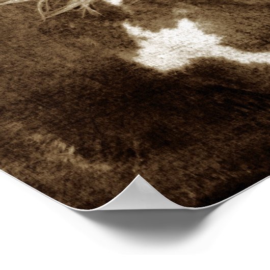 Poster Sepia Flashy Mare (Coin)