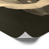 Poster Sepia Fleur De Matin Gros Plan (Coin)