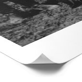 Poster Sept cow-girls rodéo posant avec un âne (Coin)