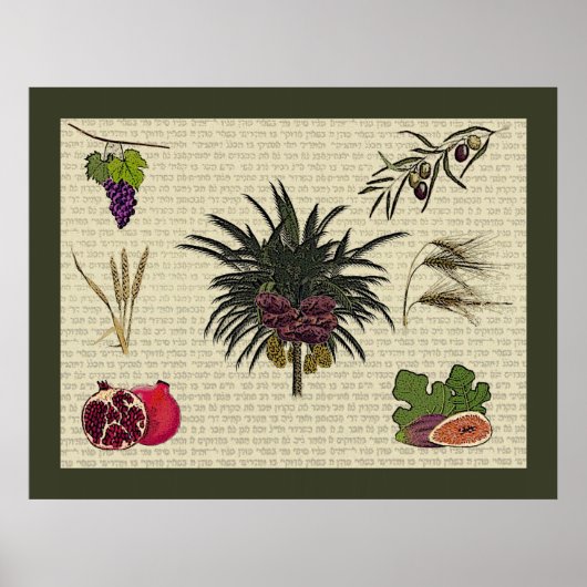 Poster Sept espèces (Devant)