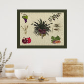 Poster Sept espèces (Cuisine)