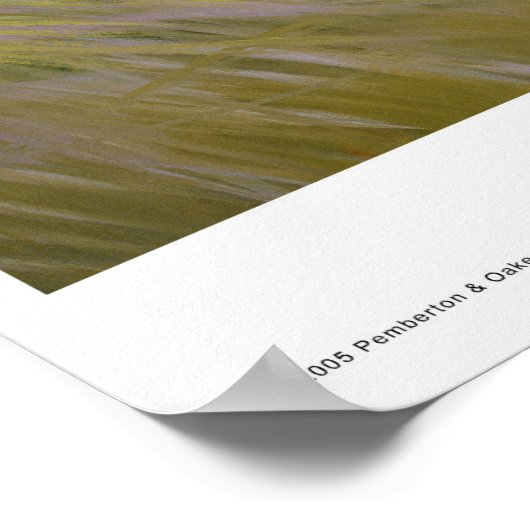 Poster September Girl (Coin)