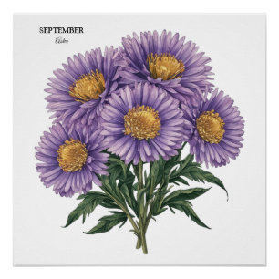 Poster Septembre Aster Mois de naissance Floral personnal