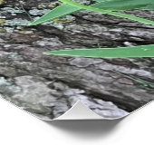 Poster Séquence de trois tulipes jaunes / (Coin)