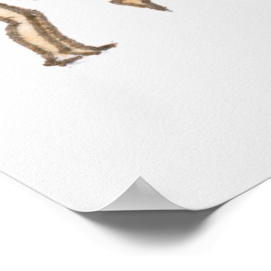 Poster Séquence d'illustrations montrant la gymnaste fémi (Coin)