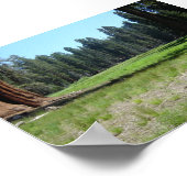 Poster Séquoia (Coin)