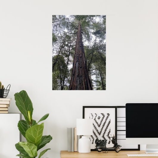 Poster Séquoia (Bureau à domicile)