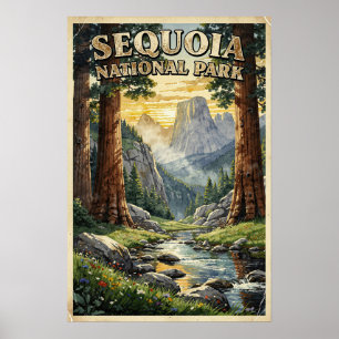Poster Séquoia National Park Rétro Aquarelle