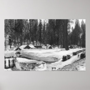 Poster Sequoia National Park Snow Scene in Village