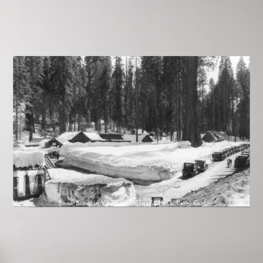 Poster Sequoia National Park Snow Scene in Village (Devant)