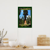 Poster SEQUOIA NAT'L PARK-California-Le Sentinel- (Cuisine)