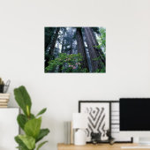 Poster Séquoias côtiers et rhododendrons (Bureau à domicile)
