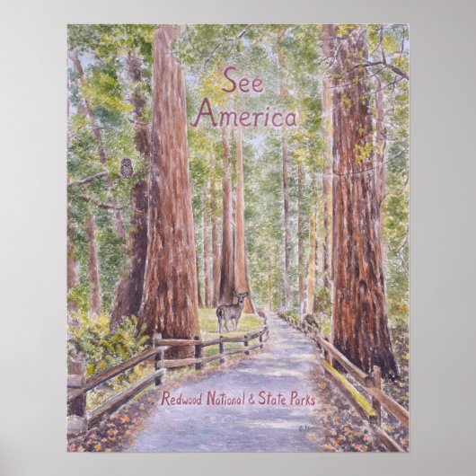 Poster Séquoias de Californie (Devant)