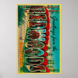 Poster Séquoias, la Californie - grandes scènes de lett