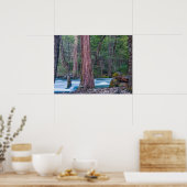 Poster Sequoias & Merced River Yosemite National Park, CA (Cuisine)