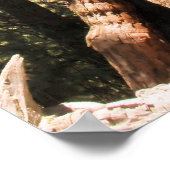 Poster Séquoie de Yosemite imprimé photo (Coin)